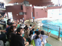 IMG_20260917_130524