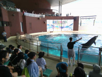IMG_20260917_130748