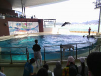 IMG_20260917_130752