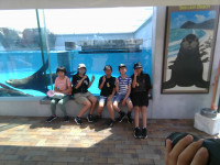 IMG_20260917_114209