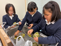 へちまたわし (6)