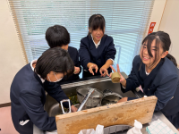 へちまたわし (9)